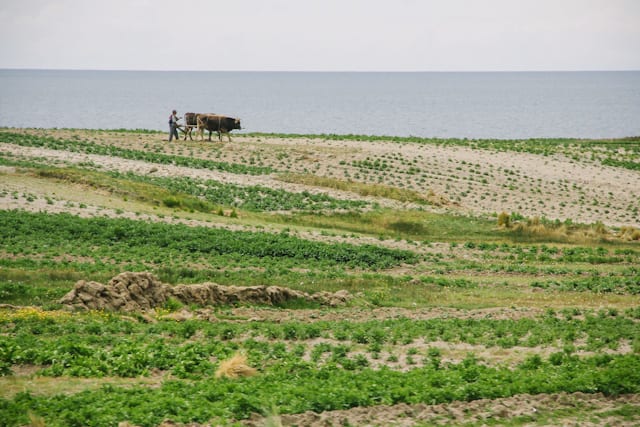 LaPaz-Puno-22