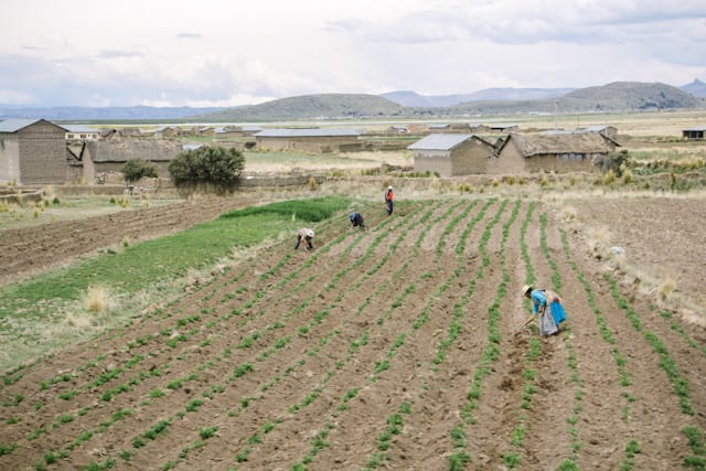 LaPaz-Puno-24