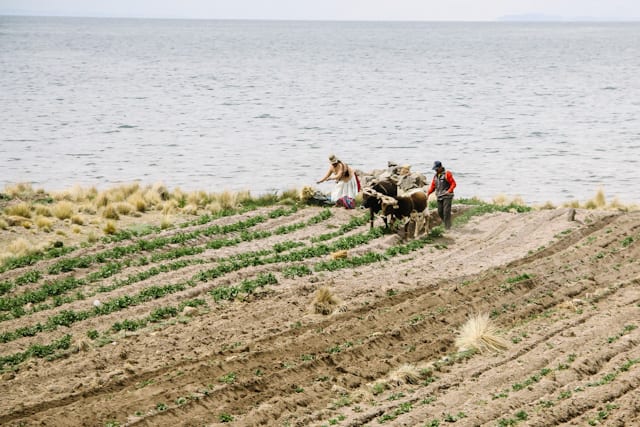 LaPaz-Puno-25