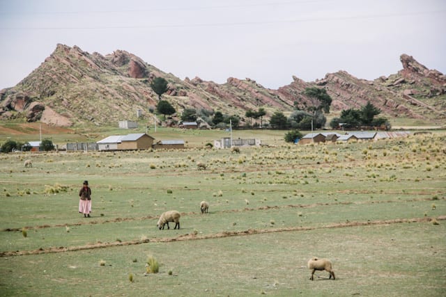 LaPaz-Puno-28