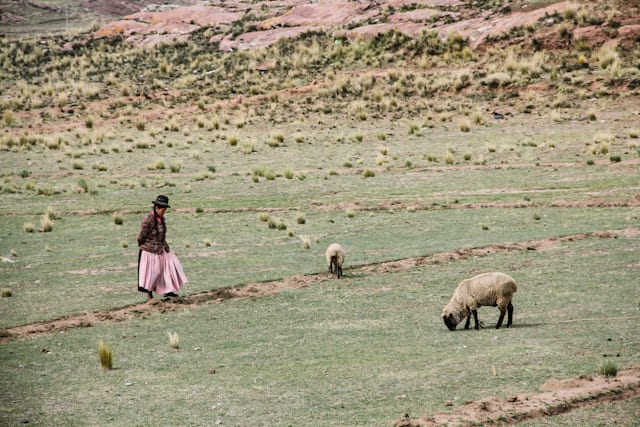 LaPaz-Puno-29