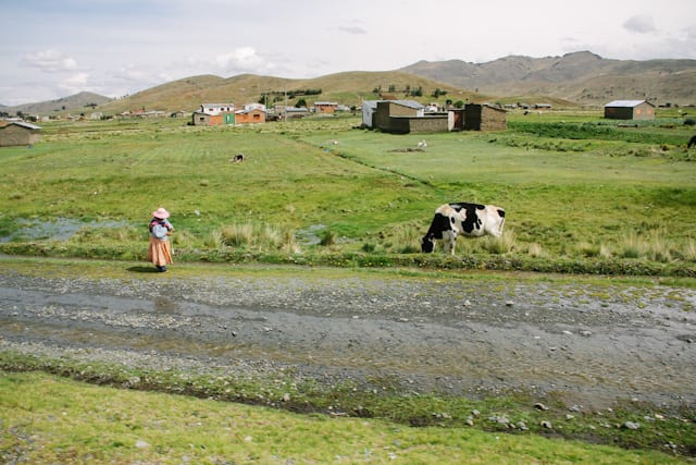 LaPaz-Puno-3