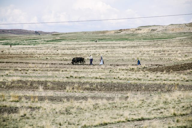 LaPaz-Puno-31