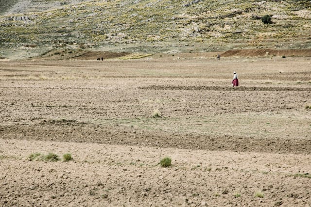 LaPaz-Puno-32