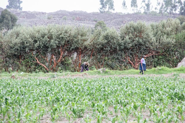 Puno-SacredValley-42