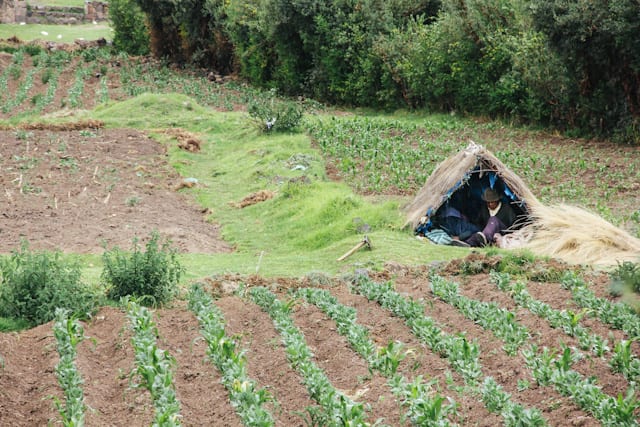 Puno-SacredValley-52