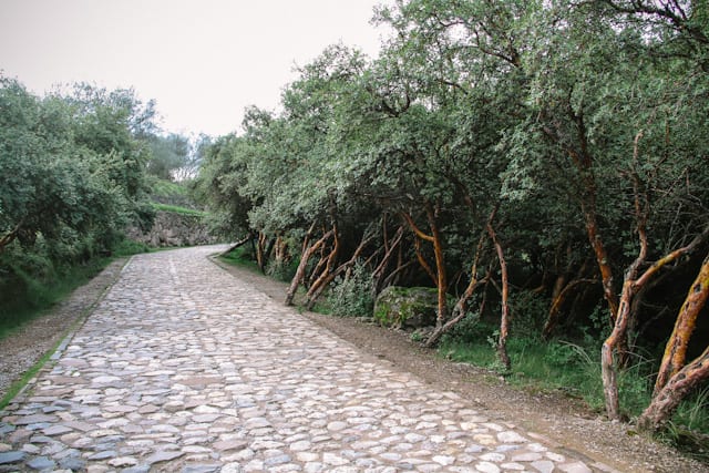 Cusco-88